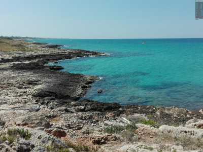 Siamo alla fine di Freak beach, poco prima di arrivare alla pi� normale e familiare �Cala Fetente�. Volgiamo lo sguardo indietro: c�� silenzio, il mare � calmo e la voglia di toglierci i vestiti � tanta�